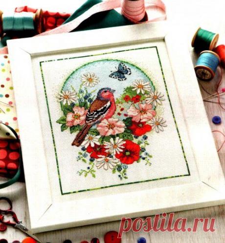 Райская птичка.