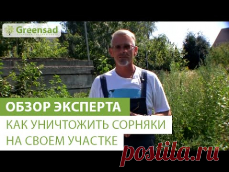 Как уничтожить сорняки  на своем участке
