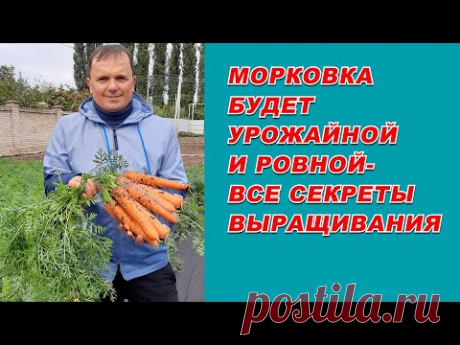 Выращивание урожайной морковки от &quot;А&quot; до &quot;Я&quot;- самые полезные советы.