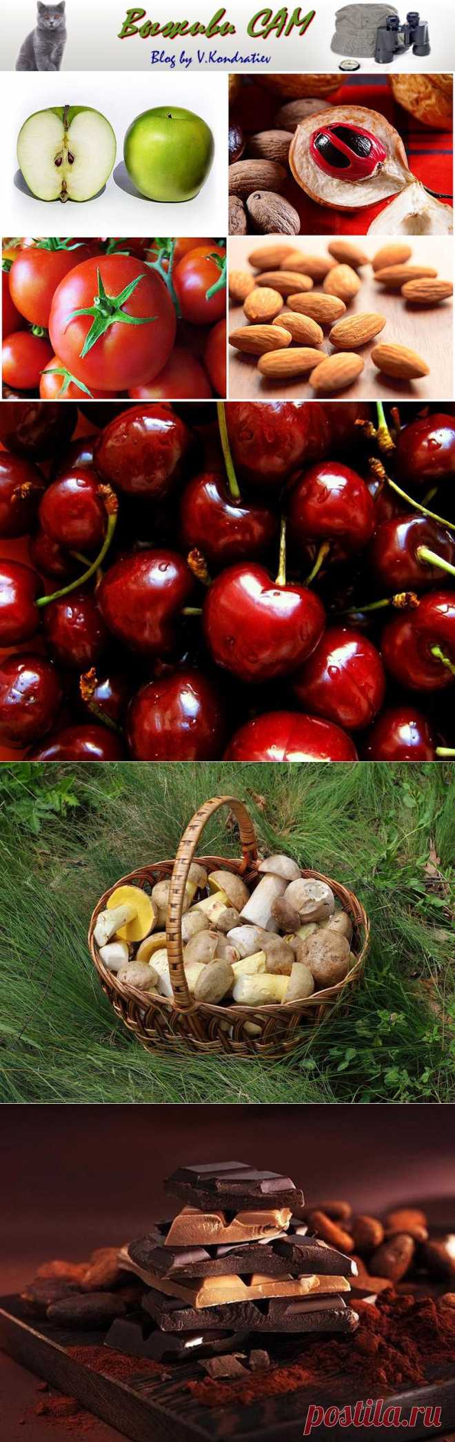 Ядовитые фрукты и овощи, которые мы едим каждый день   Выживи сам