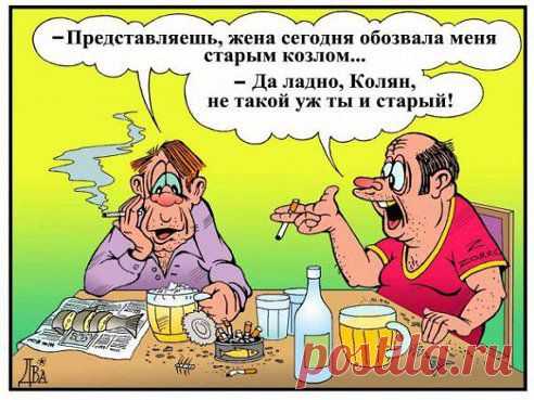 Это Вам для настроения: http://mine-otkritku.ru/otk/humor/ 

С юмором по жизни! 
У каждого пьянства свой запах особый: Ликёр пахнет тайных фантазий свободой. Шампанское пахнет кокетством и флиртом. Разбитая морда - разбавленным спиртом. Развратом и страстностью пахнет коньяк. Взрывным позитивом - абсент натощак. Вино отдаёт дорогим ре...