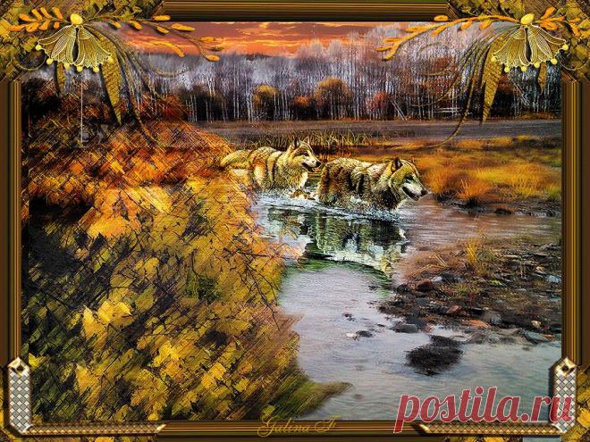 0_d9585_1a6eb54a_orig (Изображение PNG, 900 × 675 пикселов)