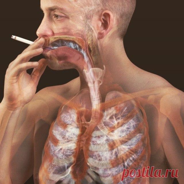 Нино Кобаладзе