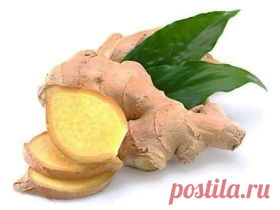 Зоя Пестова