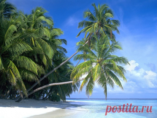 Экскурсия на о.Чам на деревянной шхуне или на катере