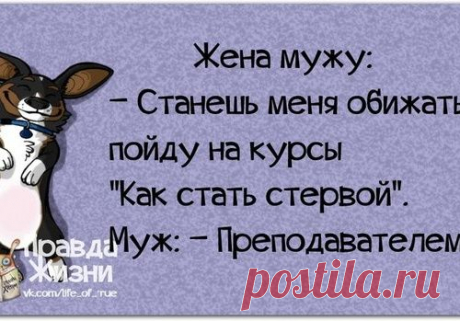 КАРТИНКИ В ПОЗИТИВЕ.