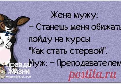 КАРТИНКИ В ПОЗИТИВЕ.