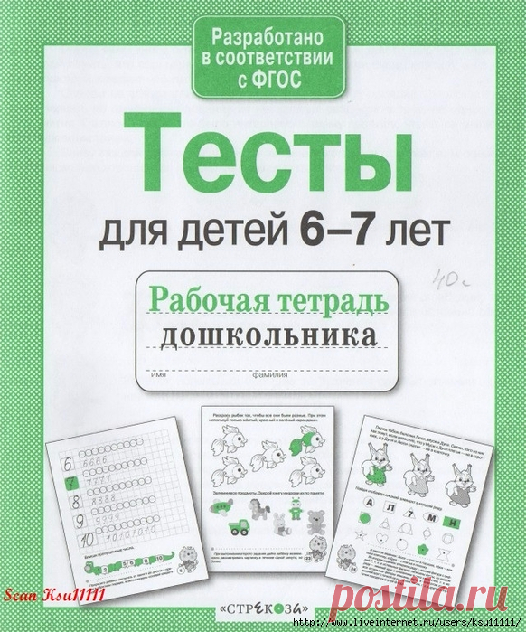 Тесты для детей 6-7 лет. Рабочая тетрадь