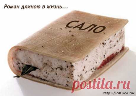 Рецепт сала от Доктора Шишонина