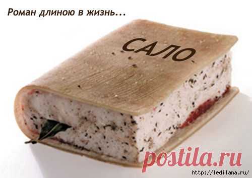 Рецепт сала от Доктора Шишонина