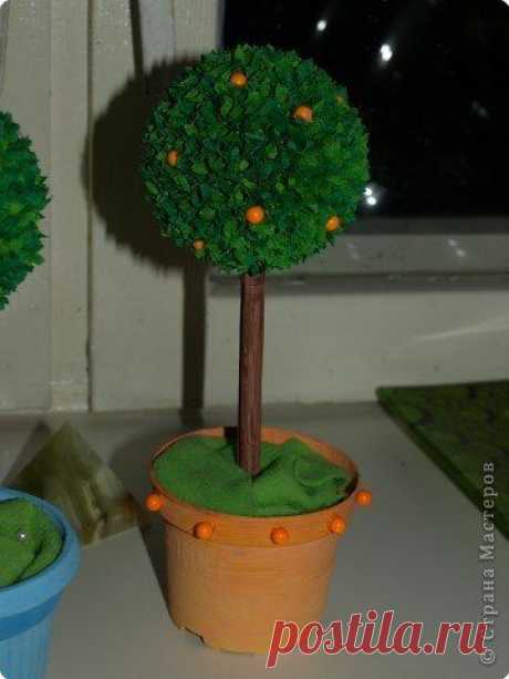 Деревья счастья - Топиарий