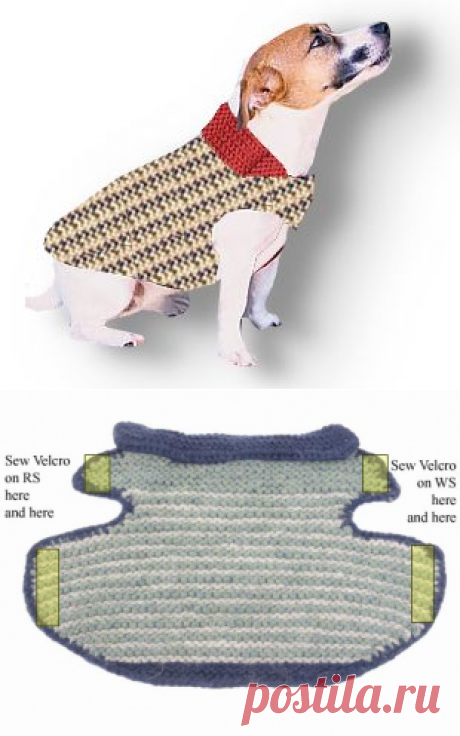 Subversive Knitting : &lt;br&gt;&lt;hr&gt;Garter Stitch Dog Jacket by Annie Modesitt