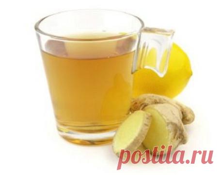(+1) тема - Имбирь: польза и вред | Среда обитания
Всё о полезных свойствах корня имбиря. 

В холодное время года так и хочется попить горячего чая с чем-то согревающим и полезным. Для этой цели лучше всего подойдёт имбирь. Вы о нём не слышали? Тогда читайте нашу статью, где мы расскажем всё о пользе и свойствах имбиря. На Востоке корень имбиря очень широко применяют в лечебных целях. Не удивительно, ведь название имбиря в переводе с санскрита означает универсальное лекарство.