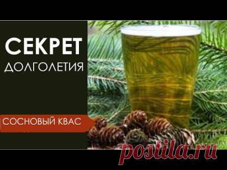 Хвойный квас🌲 - продлевает жизнь в 2 раза! Секрет долголетия🌲 Рецепт кваса. @IrinaLavande ПОДПИШИТЕСЬ https://www.youtube.com/channel/UCwxxmtNrNgSPuRh-EvWw4XQ?sub_confirmation=100:00 - визитка канала00:58 - пробуем готовый квас01:50  - о уникальны...