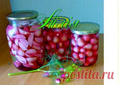 Редис консервированный