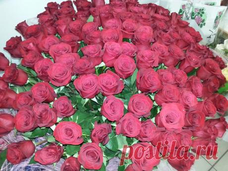 (62) Одноклассники