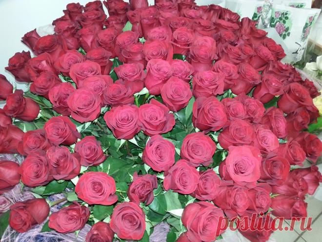 (62) Одноклассники