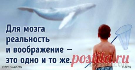 10 фактов о работе мозга, которые доказывают, что мы способны на все Наш мозг удивительный. Он может помочь подняться на любую вершину, достичь заветной мечты и добиться действительно самой сложной цели. Но для этого нужно понимать принципы его работы.Мы предлагаем изу...