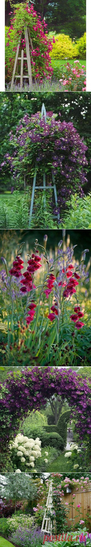 (646) Pinterest
