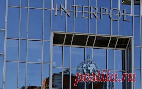 Выйдет ли Россия из Интерпола? Кому выгодны эти слухи, объяснила международный адвокат Мария Огнева - BATUMI-TODAY.COM