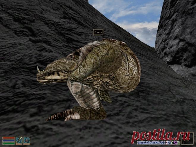 Алит (Alit), несуразное животное Вварденфелла, родственное кагути. Передвигается на своей единственной паре лап на манер утки. Периодически приседает самым неприличным образом. Отсутствие хвоста компенсирует с другой стороны длинной мордой с выступающей нижней челюстью. Несмотря на размеры головы туповат. Однажды, помнится, долго пытался прокусить магический кокон от заклинания Щит на нашей Эбонитовой кольчуге. И вертикальным хватом челюстей грыз, и горизонтальным. А потом брык – завалился на бо