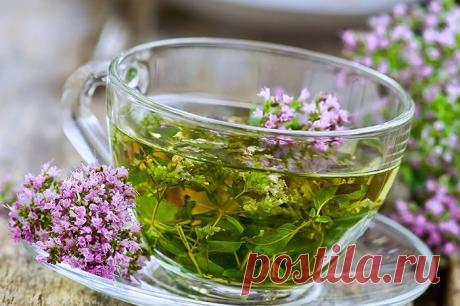 О пользе чабреца + 3 целебных отвара