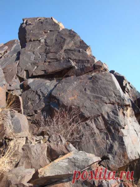 Волчья стая. Хромой | Охота и рыбалка