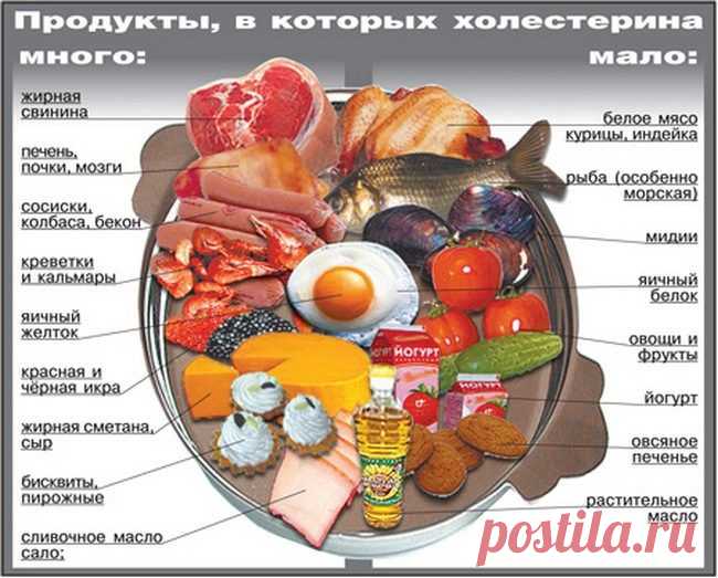 Что такое холестерин, и откуда берутся холестериновые бляшки? / Будьте здоровы
