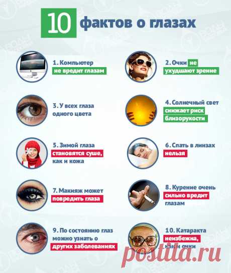 10 фактов о глазах и как сохранить зрение
