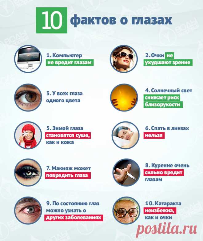 10 фактов о глазах и как сохранить зрение