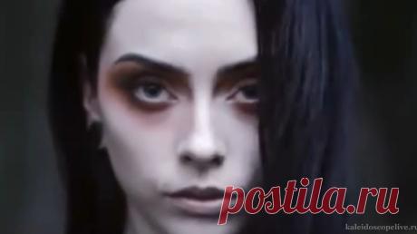 Влад Сташевский Любовь здесь больше не живёт