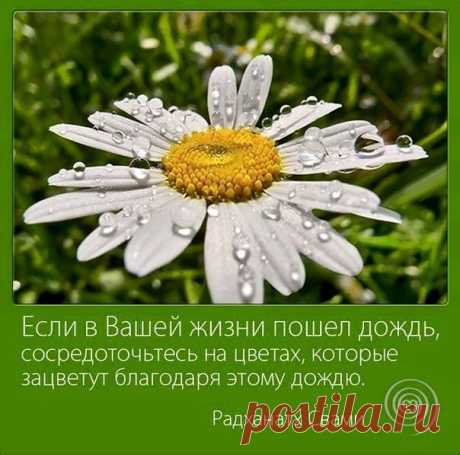 (20) Лидия Неизвестная