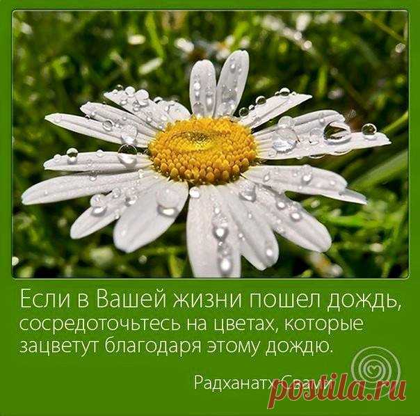 (20) Лидия Неизвестная
