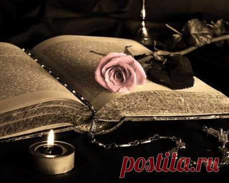 Прими Господь,молитву-стих.
Храни Господь,детей моих!
Средь ночи и средь бела дня,
храни,как ты хранишь меня!
В час испытания лихой,
что посылает жизнь порой,
ты мужество в их сердце лей.
Храни Господь,моих детей!