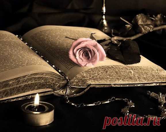 Прими Господь,молитву-стих.
Храни Господь,детей моих!
Средь ночи и средь бела дня,
храни,как ты хранишь меня!
В час испытания лихой,
что посылает жизнь порой,
ты мужество в их сердце лей.
Храни Господь,моих детей!