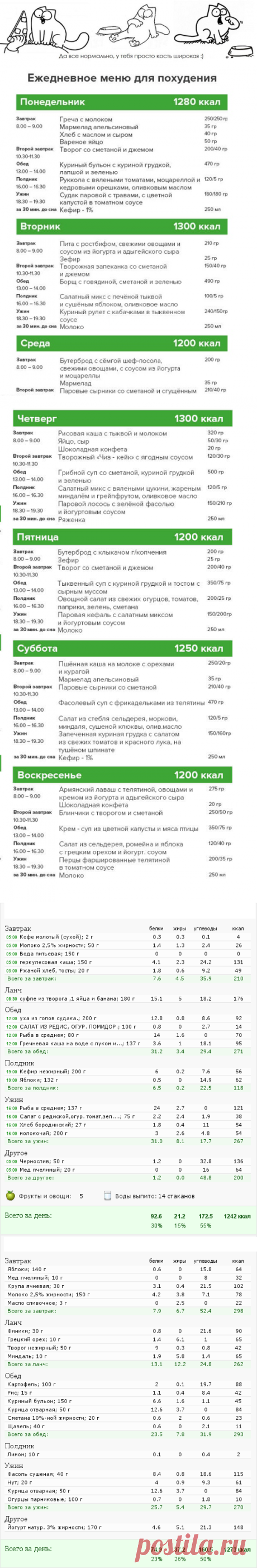 Меню на 1300 калорий в день: примерный идеальный пп рацион питания в сутки для женщины на диете с ккал и бжу, рецептами, отзывами и фото | Кость широкая