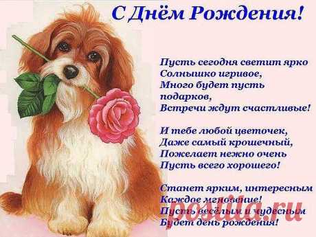 открытка с пожеланиями