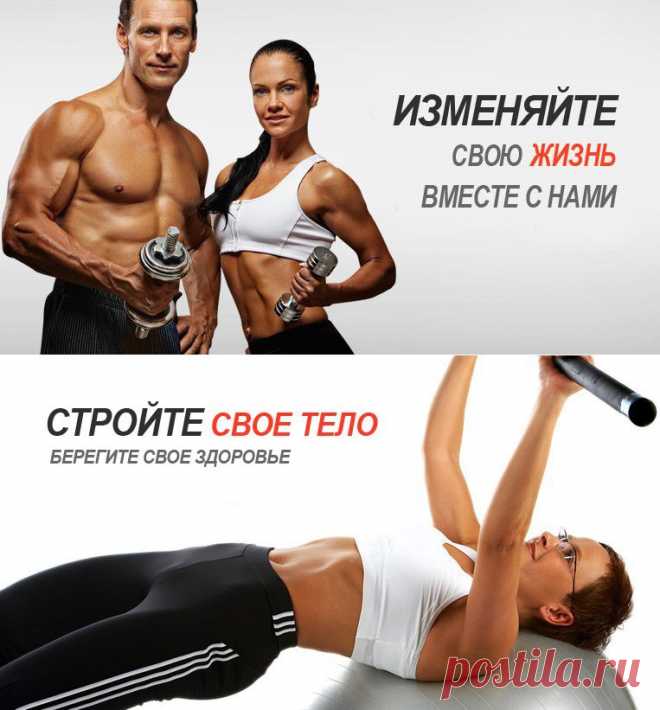 СпортЛиния - интернет-магазин. Спортивные тренажеры по лучшим ценам. Тренажеры для дома со склада.