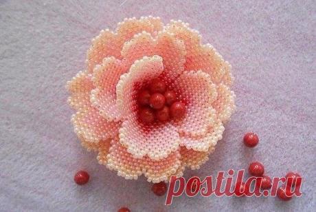 Как сплести и собрать маленький цветок из бисера / Изысканные кулинарные рецепты