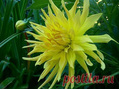 Тараторка — «101_3346.JPG» на Яндекс.Фотках