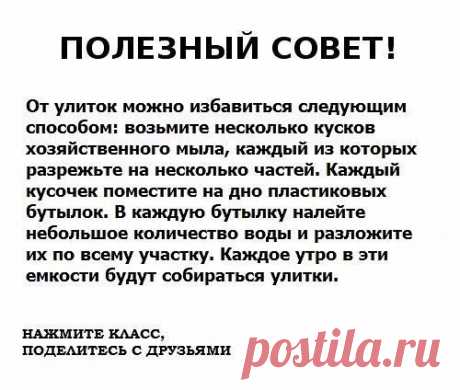 Мой Мир@Mail.Ru