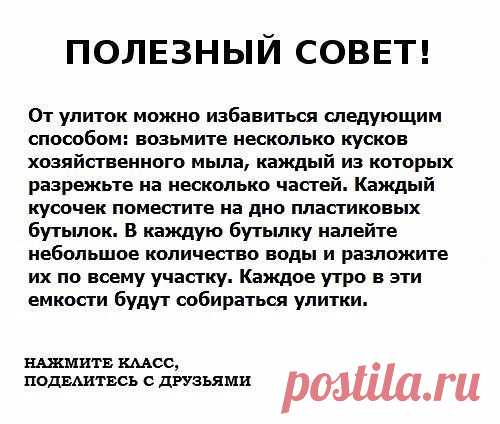 Мой Мир@Mail.Ru
