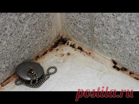 Как навсегда избавиться от грибка в ванной комнате