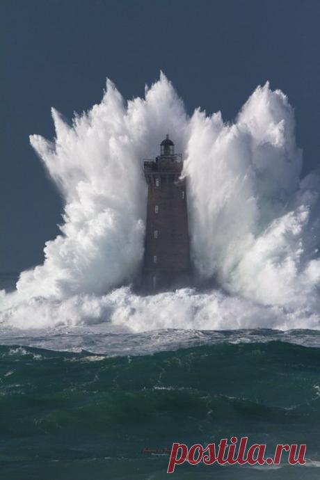 15 фоток с очень неожиданным сюжетом