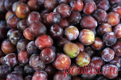 Вкусные рецепты