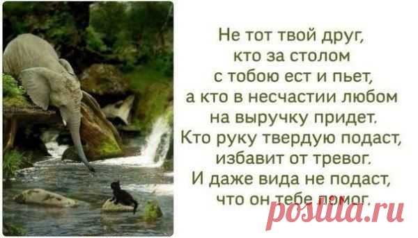 Удивительный мир