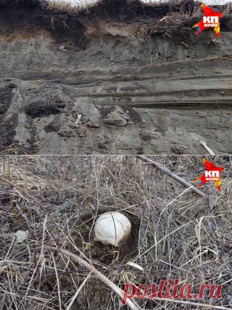 В Горном Алтае строители разрушает курганы скифского времени