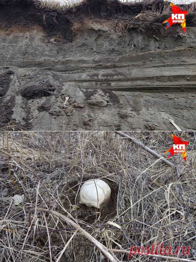 В Горном Алтае строители разрушает курганы скифского времени