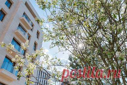 В Москве нашли пять супердорогих пентхаусов. Самый дорогой пентхаус на вторичном рынке Москвы стоит 15 миллионов долларов, или 1,1 миллиарда рублей. По данным риелторов, супердорогой лот площадью 435 квадратных метров расположен в элитном жилом комплексе в районе Хамовники. Экстремально дорогие пентхаусы специалисты также нашли в Тверском районе и на Арбате.