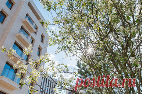 В Москве нашли пять супердорогих пентхаусов. Самый дорогой пентхаус на вторичном рынке Москвы стоит 15 миллионов долларов, или 1,1 миллиарда рублей. По данным риелторов, супердорогой лот площадью 435 квадратных метров расположен в элитном жилом комплексе в районе Хамовники. Экстремально дорогие пентхаусы специалисты также нашли в Тверском районе и на Арбате.